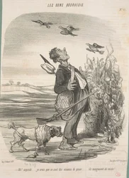 Ah! ... Ik denk dat het roofvogels zijn ...