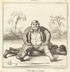 De orde heerst in Jamaica