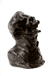 De bustes van de Celebrites van het Rechter Midden. Karikatuur door Charles Philipon, directeur van de Caricature en de Charivari. Journalist. De lachende edente. Beeldhouwwerk door Honore Daumier, 19e eeuw