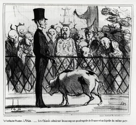 De plantentuin in Peking: de Chinezen bewonderen een viervoeter uit Frankrijk en een bij uit hetzelfde land (illustratie door Honore Daumier, gepubliceerd in Charivari, China Actualites)