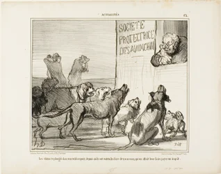 De honden vallen opnieuw in wanhoop nadat ze hebben gehoord dat er toch een nieuwe hondenrijbewijsbelasting komt, plaat 171 van Actualités