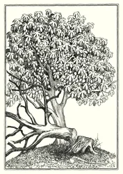 Illustratie voor De Bergrede (gravure)