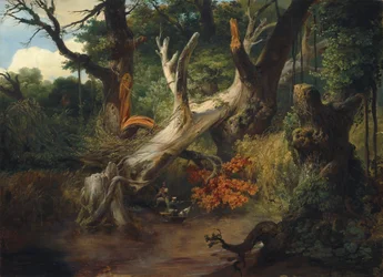 Jagen in de Pontijnse moerassen