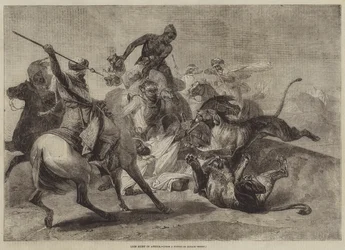 Leeuwenjacht in Afrika