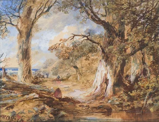 De Rand van het Bos