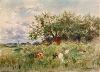 Kijken naar de Kalkoenen, eind 19e-begin 20e eeuw