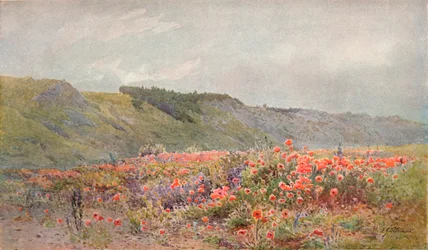 De vallei van de klaprozen, ca. 1879-1903, 1903
