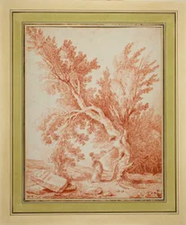 De Nestrover