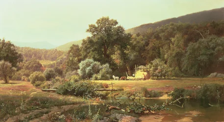 Zomer in de Blue Ridge