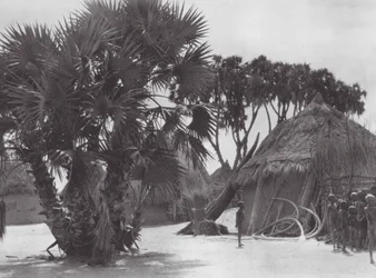 Afrika: Shilluk dorp aan de Witte Nijl