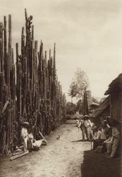 Mexico: Santiago, karakteristieke dorpsstraat met cactussen in de vorm van zuilen (z/w foto)