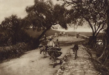 Mexico: Een weg in de bergen van Mexico (z/w foto)