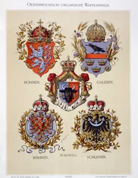 Wapenschilden uit het Oostenrijks-Hongaarse Rijk, uit 