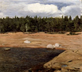 Het strand, Niemenlautta