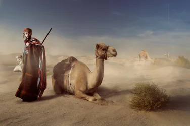 Reiziger door de Arabische woestijn