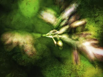 Abstracte groene texturen