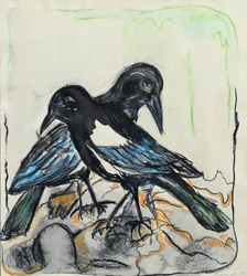 Zwarte vogels