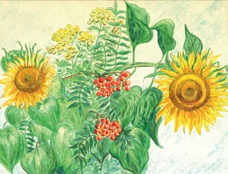 Zonnebloemen en herfstbessen