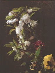 Bloemen, 1876