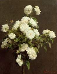 Witte Rozen, 1870