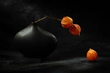 Zwarte vaas, oranje lantaarns