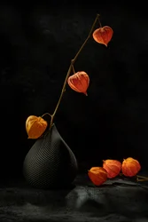 Stilleven met lampionplanten