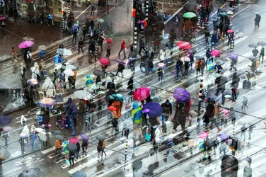 Rainy City-paraplu’s