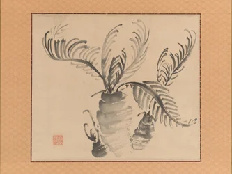 Cycad, midden 18e eeuw