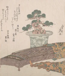 Potted Pine Tree en Koto Japanse Harp