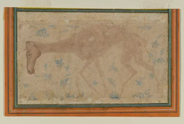 Een Uitgemergeld Paard, uit Mughal of Deccan