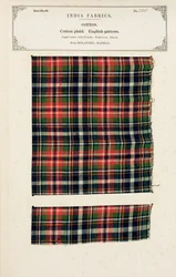 Katoenen ruitmonster uit Mylapore in Madras, uit De Collectie van de Textielfabrikanten van India, door John Forbes Watson, gepubliceerd in 1866
