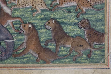 (detail) De jakhals die zichzelf koning uitriep, c.1560-65