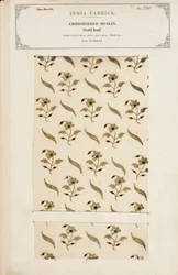 Geborduurd mousselinemonster uit Madras, uit De Collectie van de Textielfabrikanten van India, door John Forbes Watson, gepubliceerd in 1866
