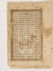 Majnun op een kameel