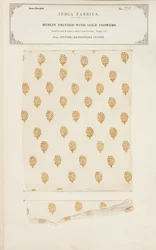 Mousselinemonster bedrukt met gouden bloemen uit Jeypore in Rajpootana, uit The Collection of the Textile Manufacturers of India, door John Forbes Watson, gepubliceerd in 1866