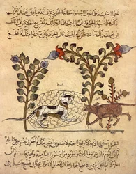 De kat en de rat, Arabische miniatuur uit 
