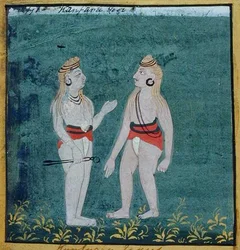 Twee gespleten-oor (kamphate) yogi