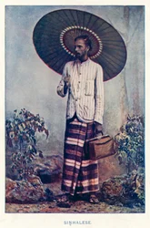 Indiase inboorlingen: Singalezen