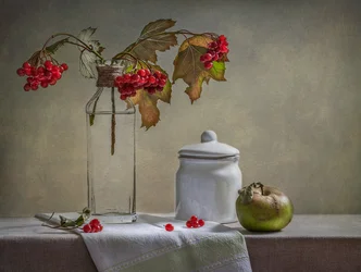 Herfstbessen en appel