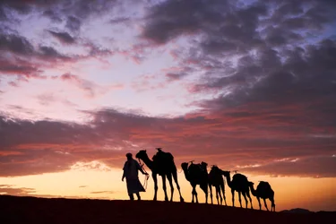 Een kameeldrijver leidt zijn kamelen in Erg Chebbi in de woestijn in Merzouga, Marokko, 2019