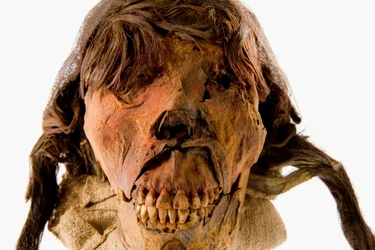 Portretten van het hoofd van de vrouwelijke mummie van El Brujo op een witte achtergrond.