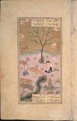 Majnun in de Woestijn, 1431