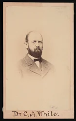 Portret van Charles Abiathar White 1826-1910, 1868