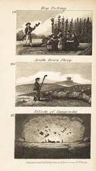 Ambachten in Regency Engeland