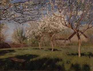 Bloeiende appelbomen