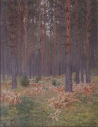 Varens, 1894