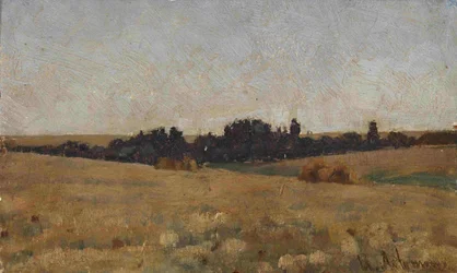 Landschap