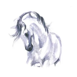 Studie van een paard in beweging