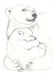Tekening van ijsbeer en welp