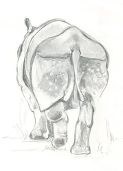 Zachte tred van een neushoorn
